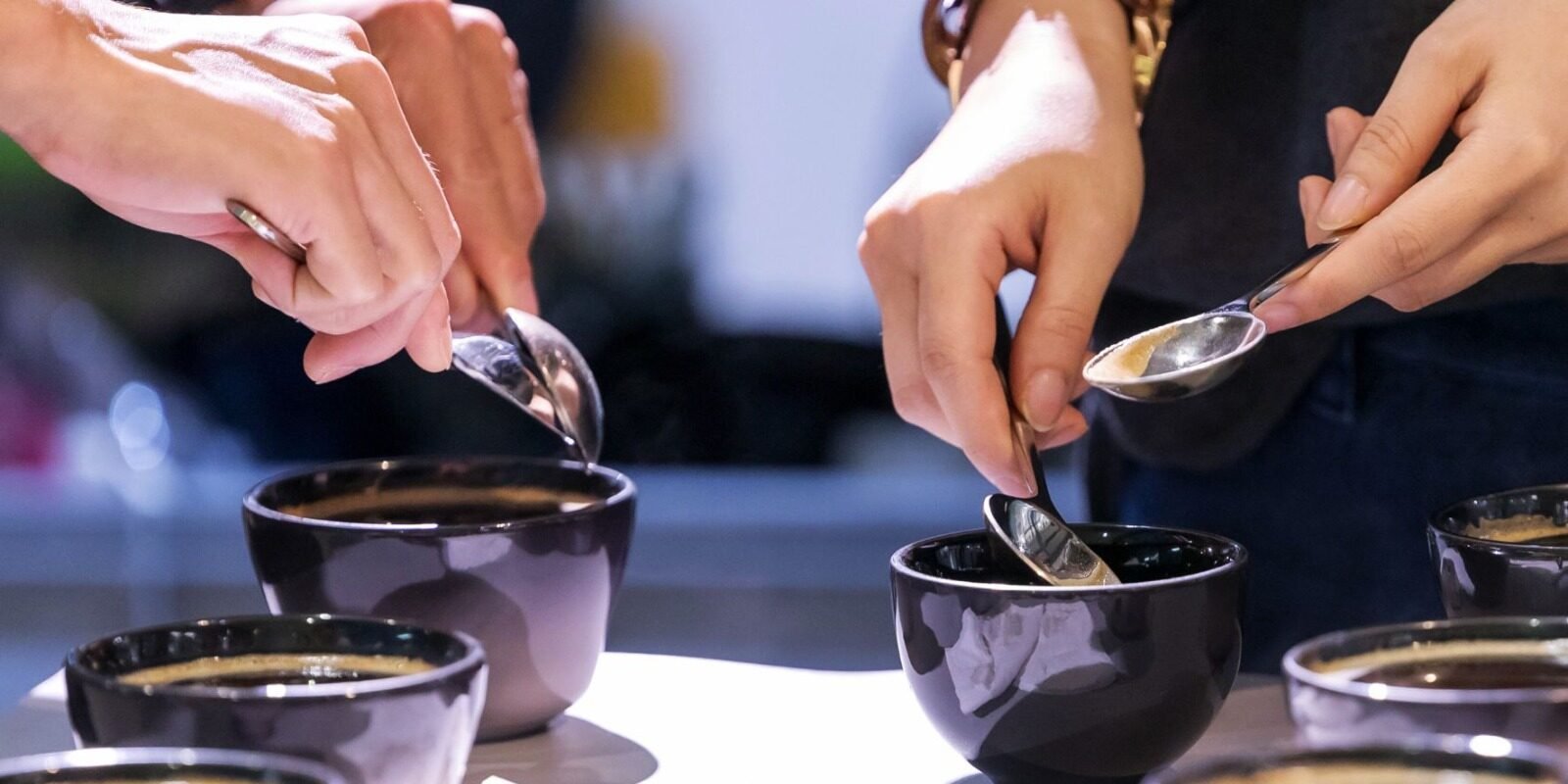 1. 品啡體驗Flavours of Coffee Tasting Experience 1. 品啡體驗Flavours of Coffee Tasting Experience